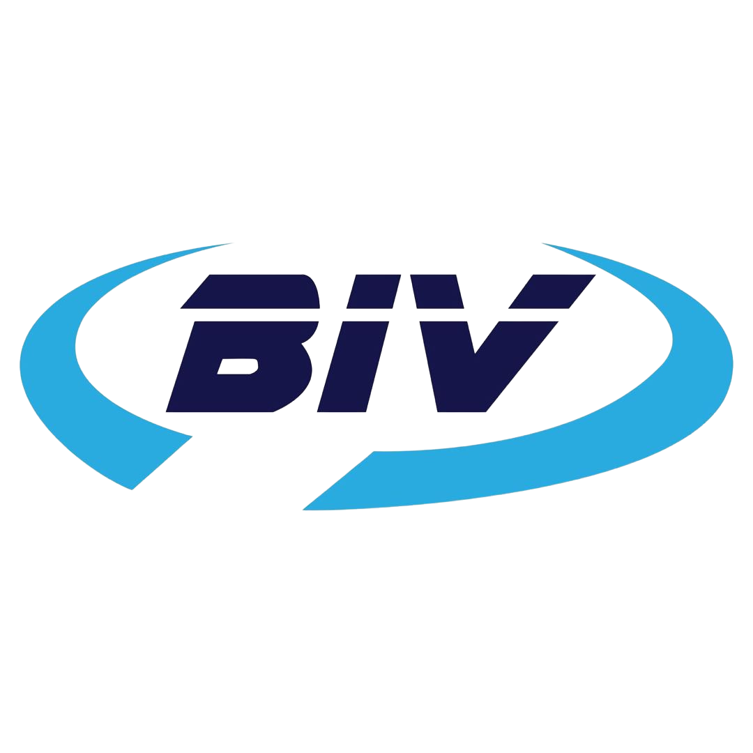 BIV MARKETING